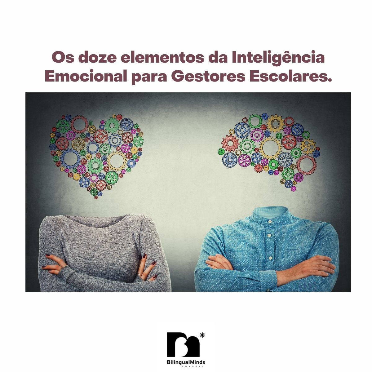 OS DOZE ELEMENTOS DA INTELIGNCIA EMOCIONAL PARA GESTORES ESCOLARES (Parte 1 de 2)