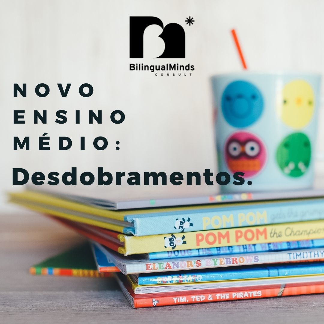 NOVO ENSINO MDIO: Desdobramentos.